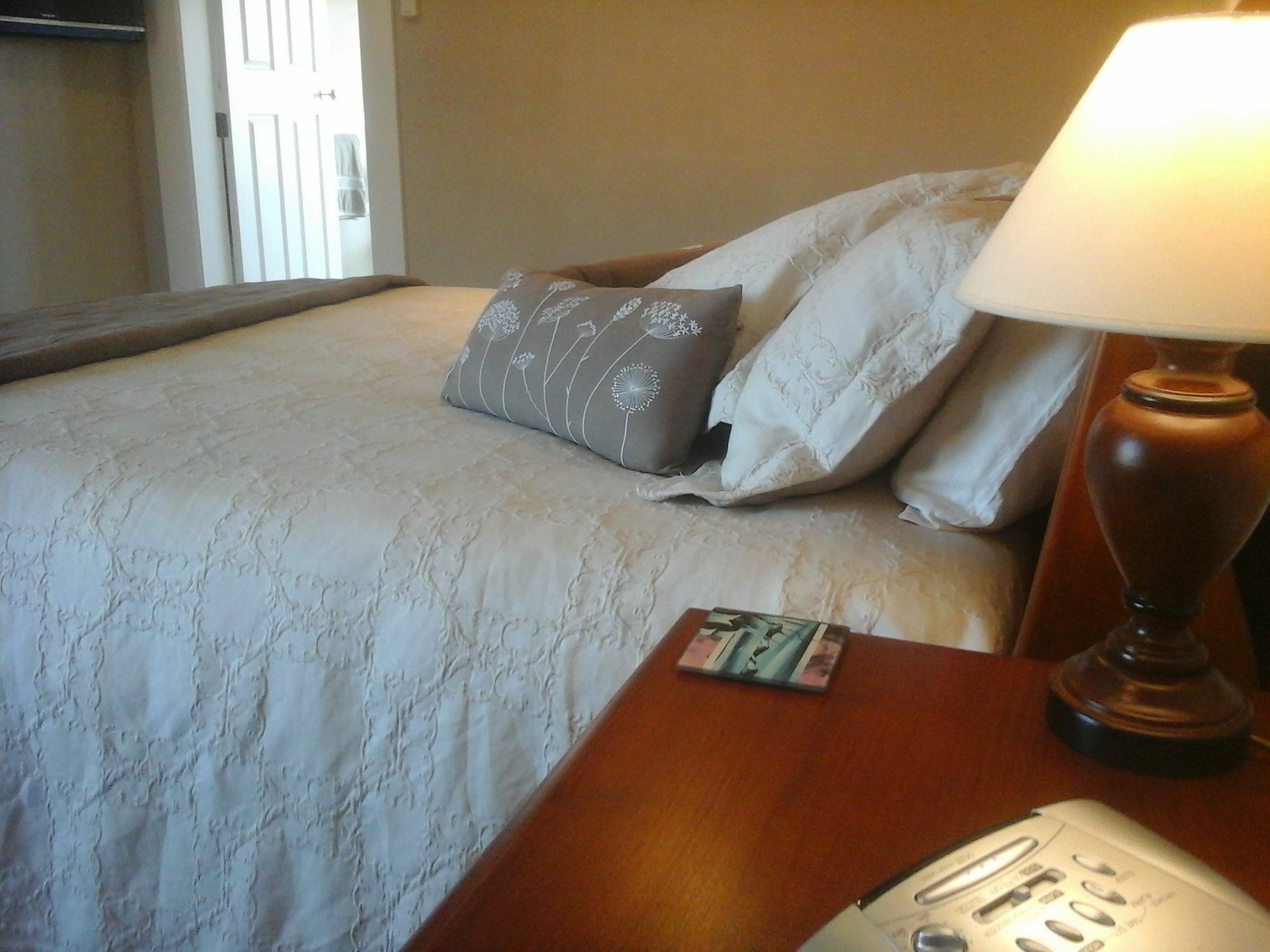 Kershaw House Bed & Breakfast Richmond Bagian luar foto