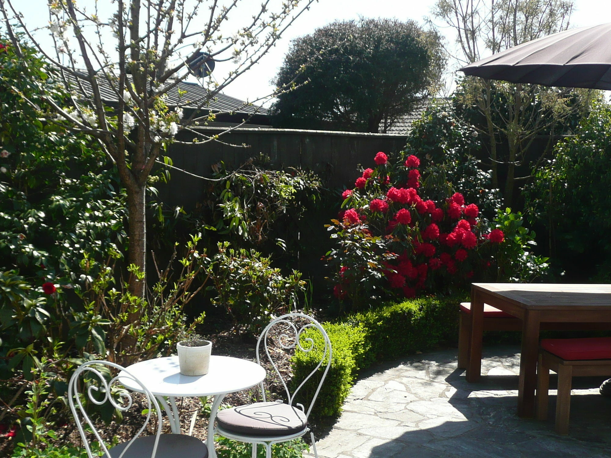 Kershaw House Bed & Breakfast Richmond Bagian luar foto