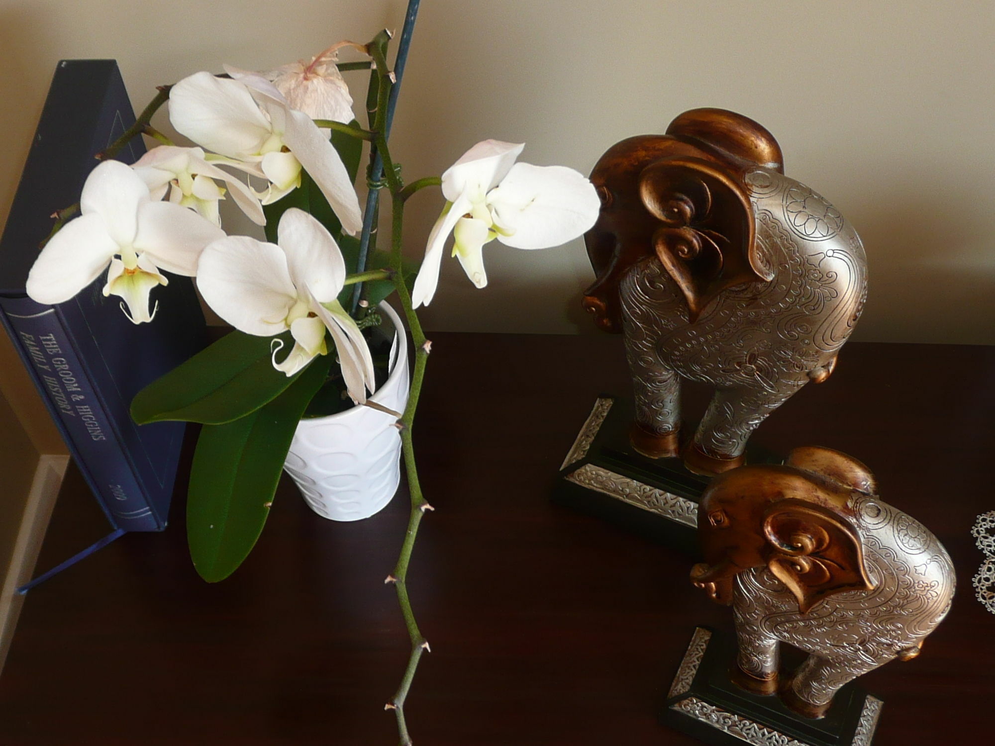 Kershaw House Bed & Breakfast Richmond Bagian luar foto