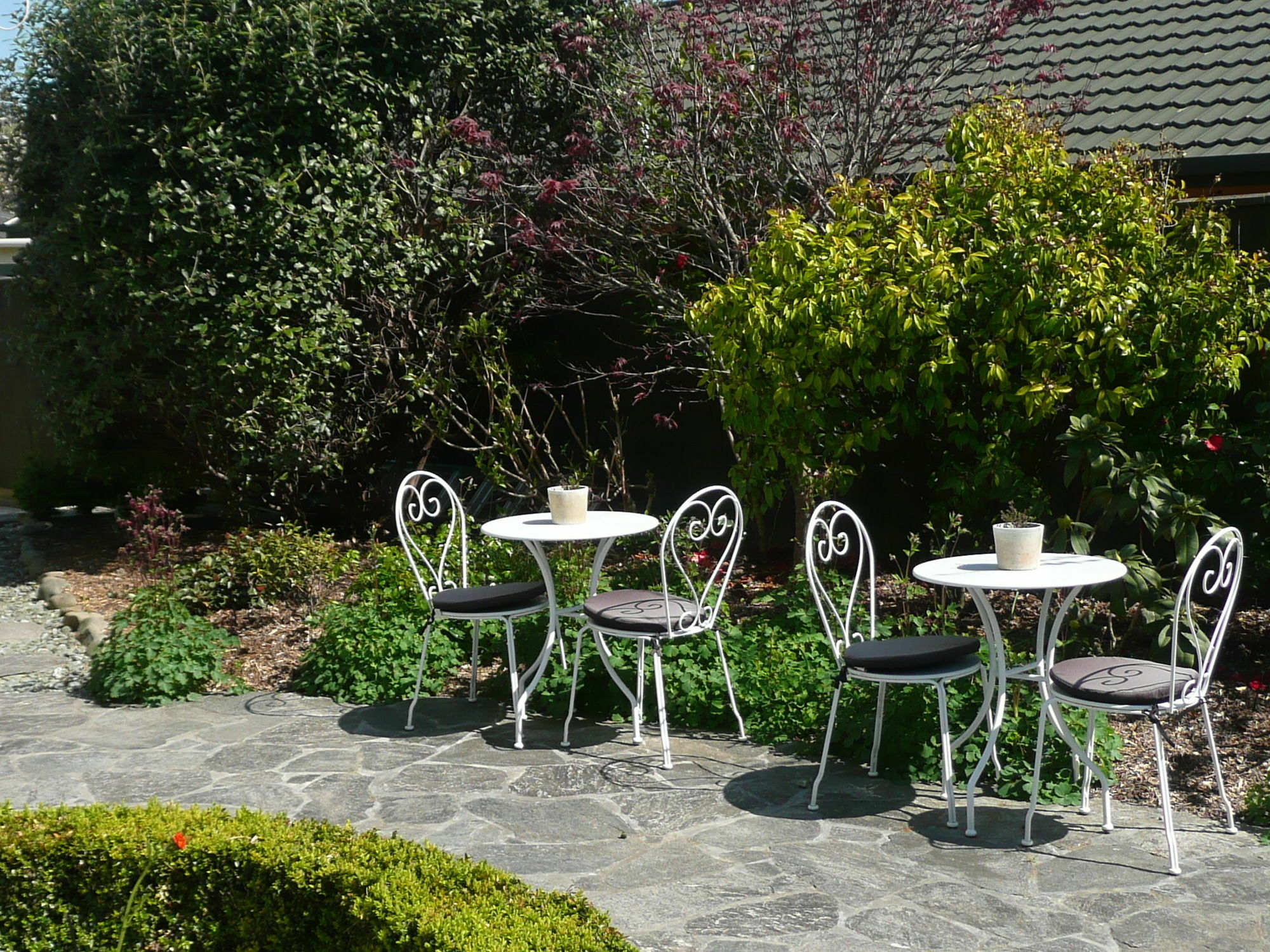 Kershaw House Bed & Breakfast Richmond Bagian luar foto