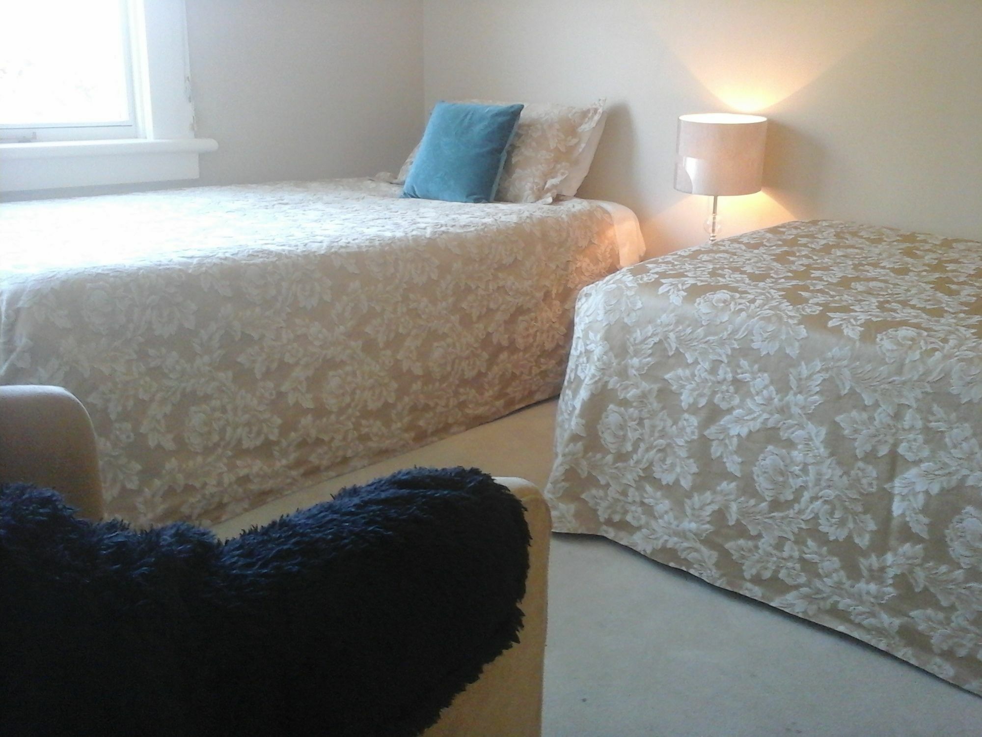 Kershaw House Bed & Breakfast Richmond Bagian luar foto